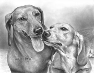 "Angel & Rio" 11x14 in. Charcoal
