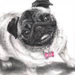 "Bella" 11x14 in. Charcoal